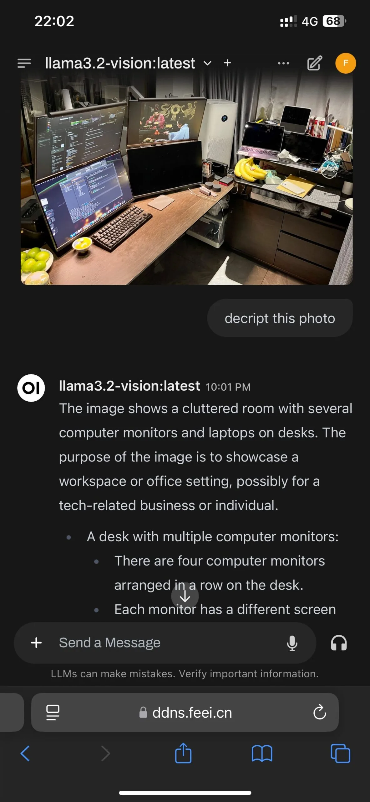 Using LLM descrpt photos