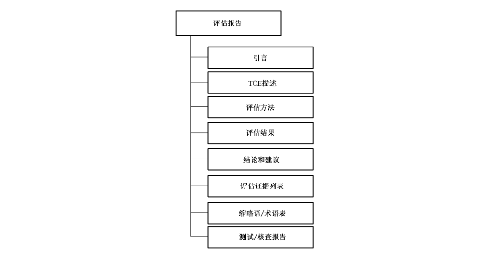 图5 TOE 评估报告信息内容