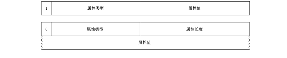图6 SA 属性载荷格式