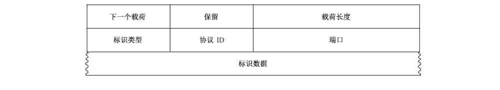 图7 标识载荷格式