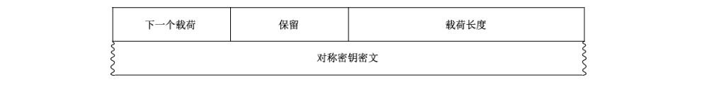 图17 对称密钥载荷格式