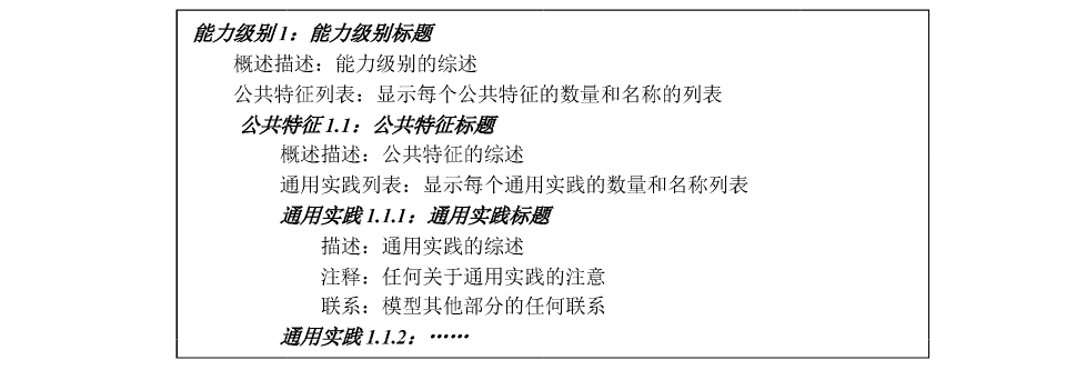 图5 能力级别格式