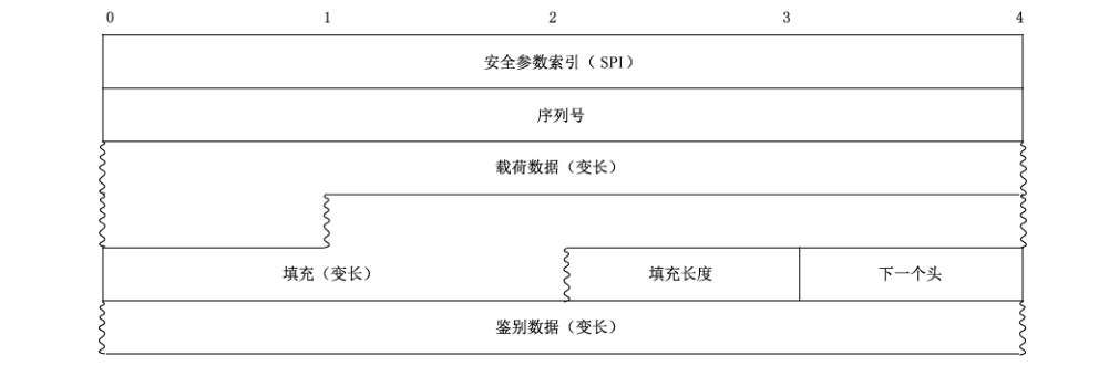 图 32 ESP头格式