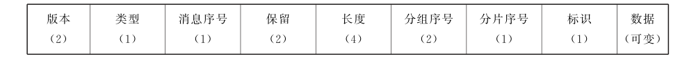 图32 PAI 协议分组格式