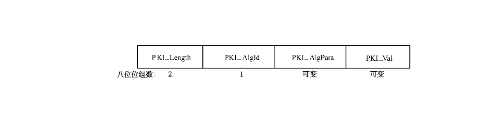 图 D.29 公钥信息 PKI 固定格式