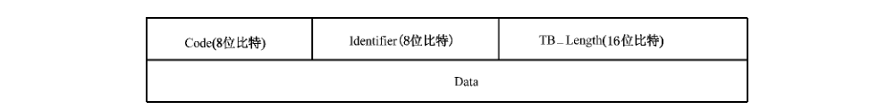 图 D.40 TAEP 分组格式示意图