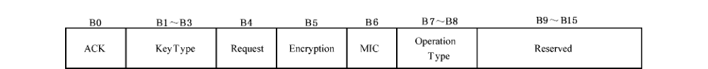 图 D.44 标识 Key_FLAG 字段的格式