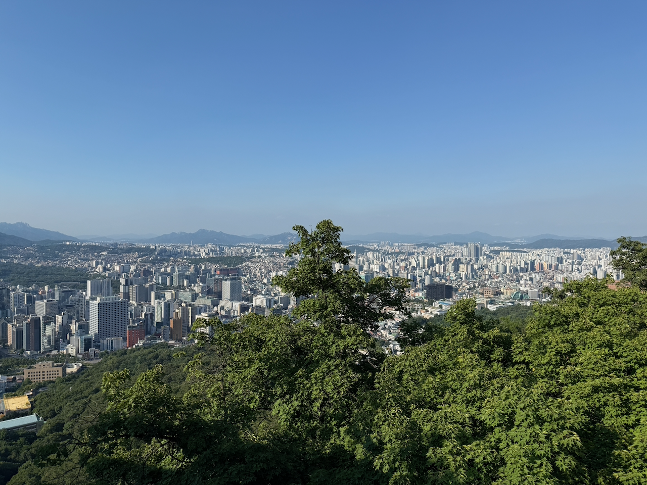 首尔公园里的绿色植物 17:27